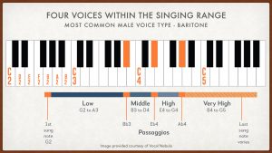 Find Your Vocal Range and Voice Type Test | VOCAL NEBULA